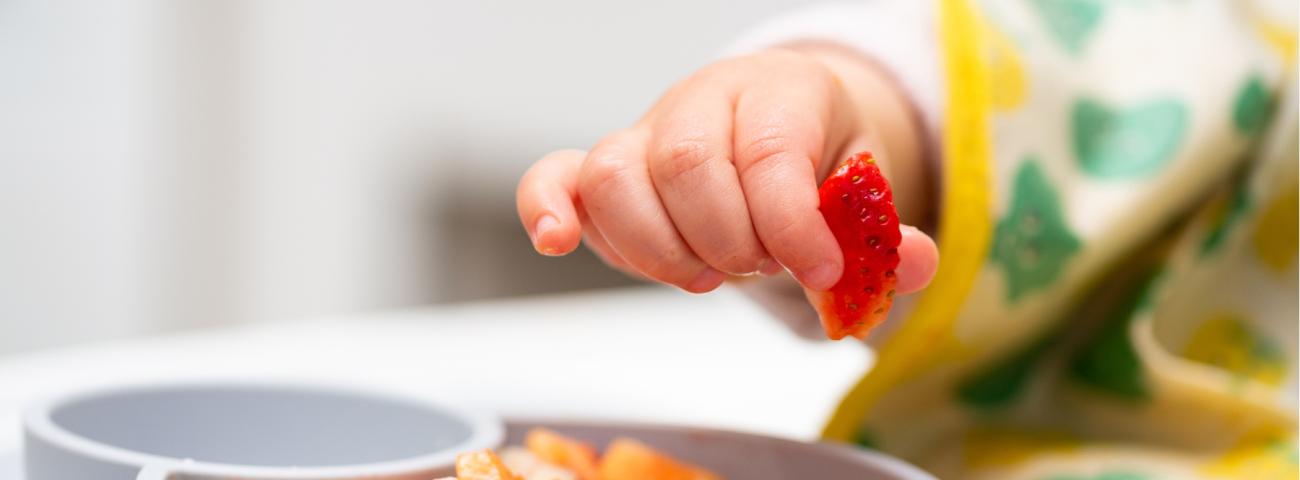 LOS HÁBITOS SALUDABLES DE ALIMENTACIÓN EN LA INFANCIA TIENEN UNA INCIDENCIA POSITIVA EN LA SALUD DURANTE LA MADUREZ